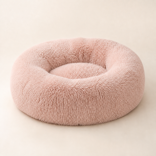 Rosie Cloud Bed in Blush, empty studio product view